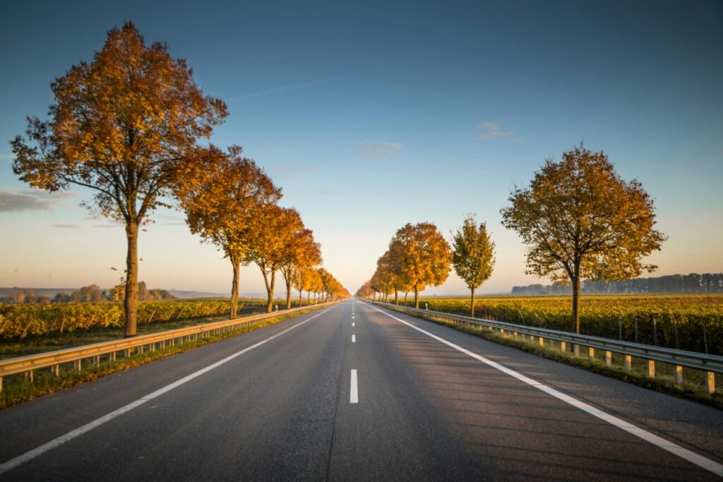 秋の紅葉した並木が両側に続く真っ直ぐな道路