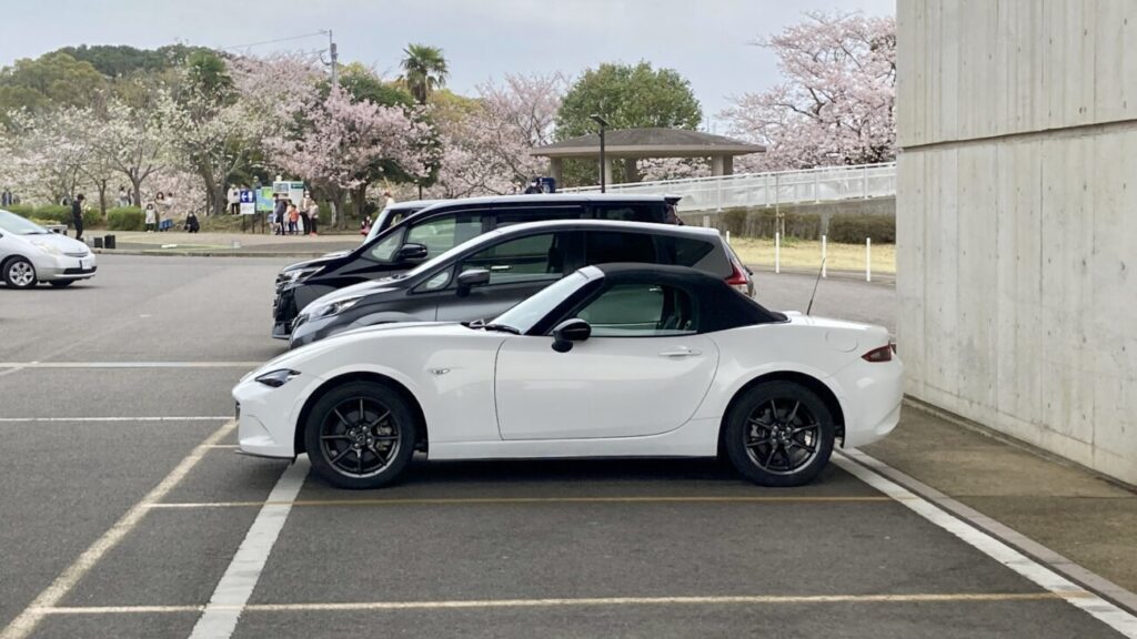桜並木の前に停まった白のNDロードスターを、斜め後ろから見たところ